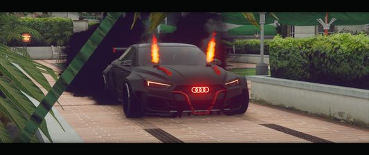 Audi Custom