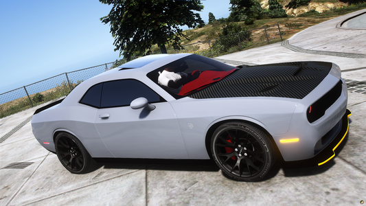 Custom Challenger
