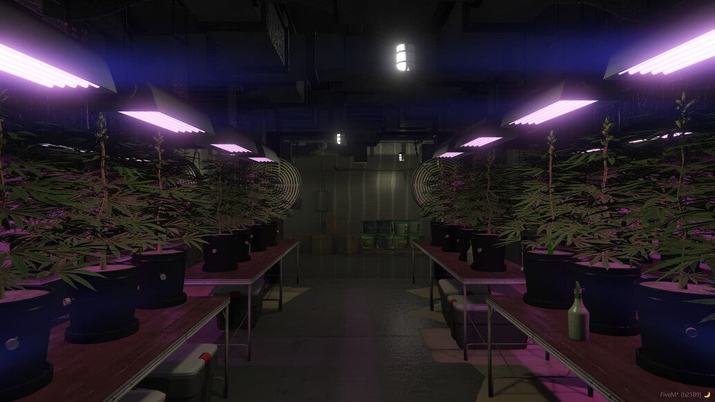 Secret Weed Farm | MLO