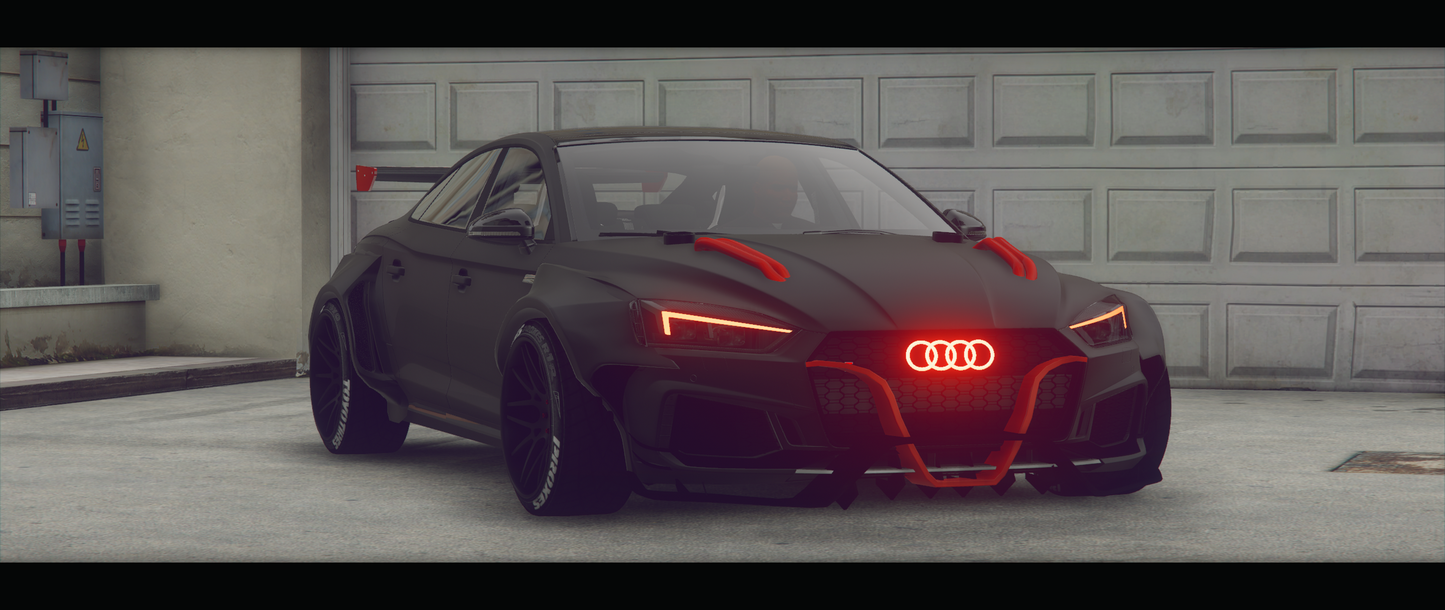 Audi Custom