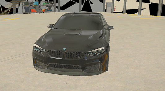 BMW M3 F80 CUSTOM